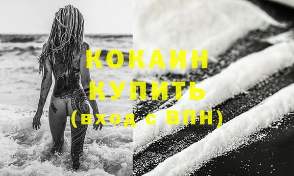 прущие грибы Слюдянка