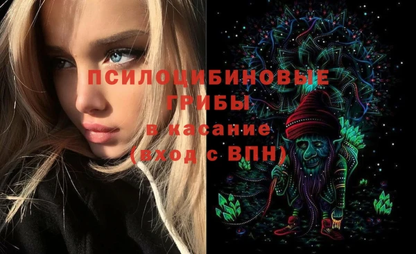 каннабис Белокуриха