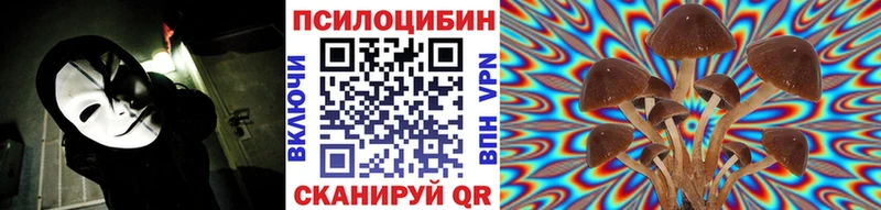 Псилоцибиновые грибы мицелий  Мглин 